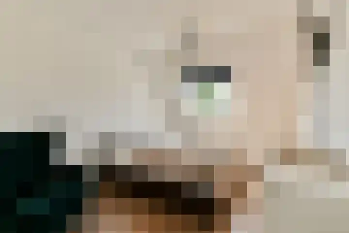 Beemdgras 24 Wilnis thumbnail 14