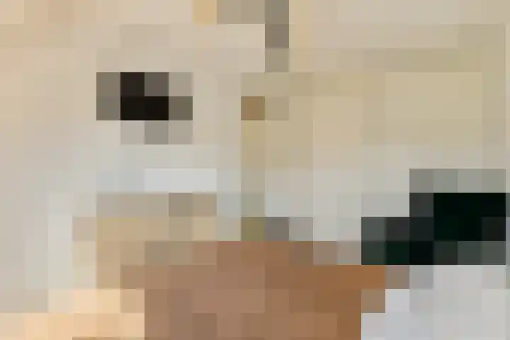 Beemdgras 24 Wilnis thumbnail 15