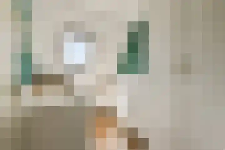 Beemdgras 24 Wilnis thumbnail 17