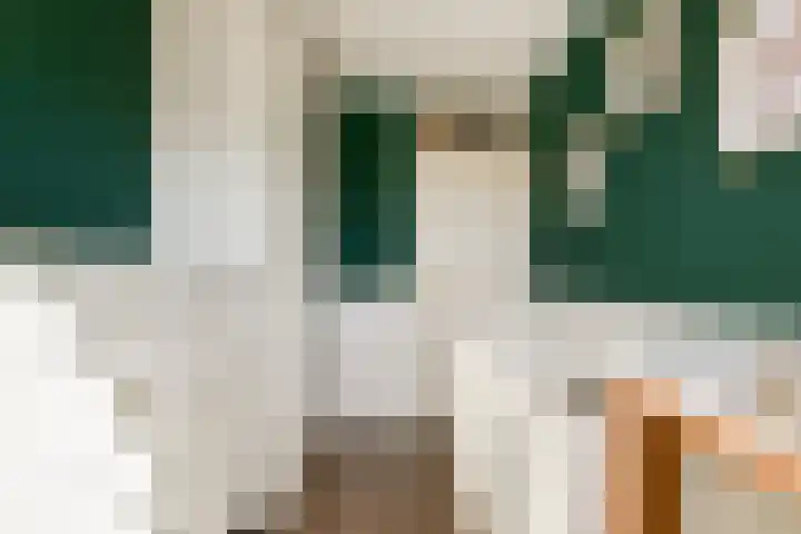 Beemdgras 24 Wilnis thumbnail 18