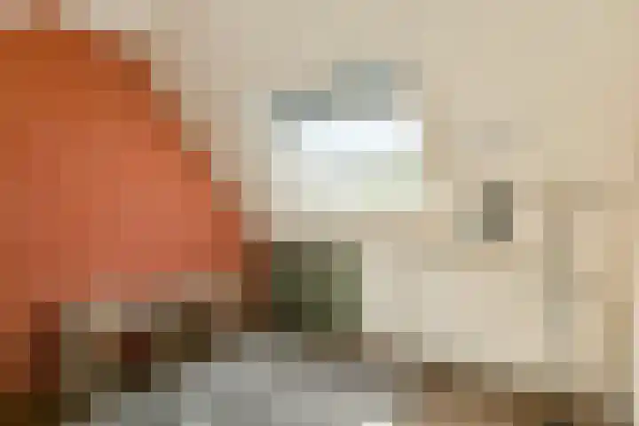 Beemdgras 24 Wilnis thumbnail 21