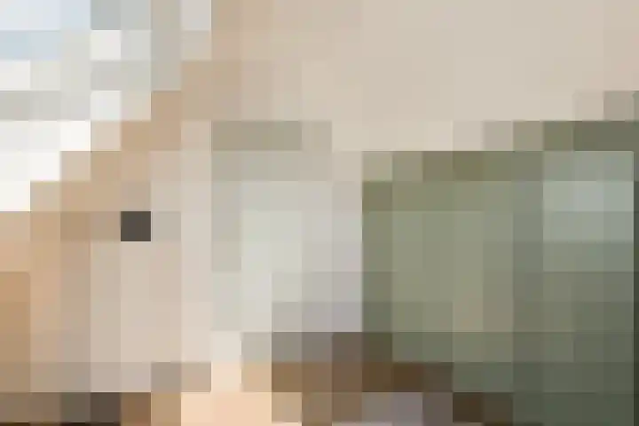 Beemdgras 24 Wilnis thumbnail 22