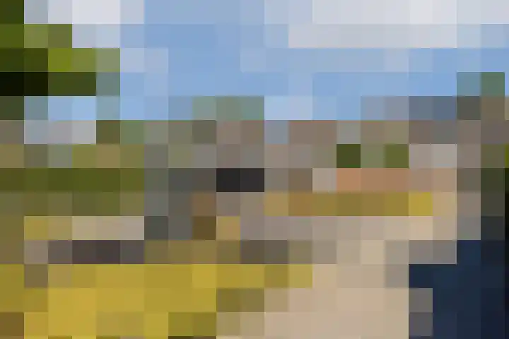 Beemdgras 24 Wilnis thumbnail 23