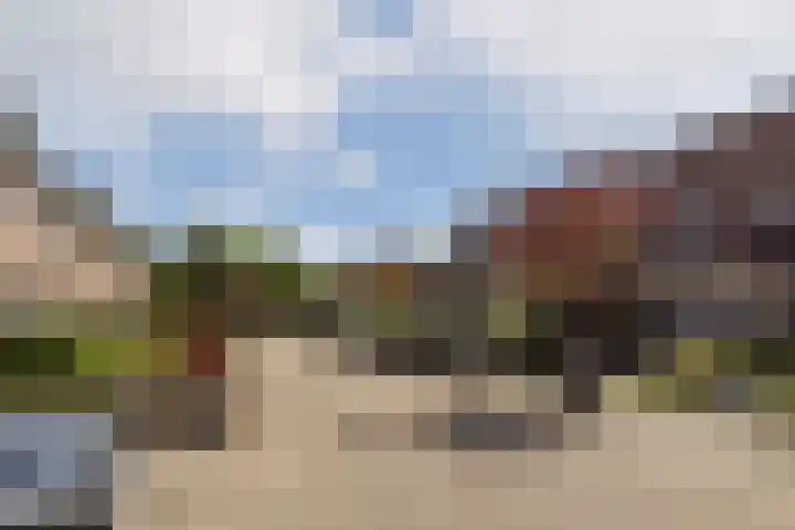 Beemdgras 24 Wilnis thumbnail 24