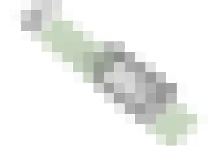 Beemdgras 24 Wilnis thumbnail 26