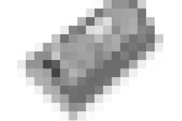 Beemdgras 24 Wilnis thumbnail 32