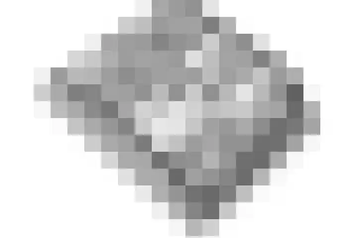 Beemdgras 24 Wilnis thumbnail 34