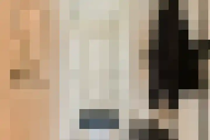 Beemdgras 24 Wilnis thumbnail 4