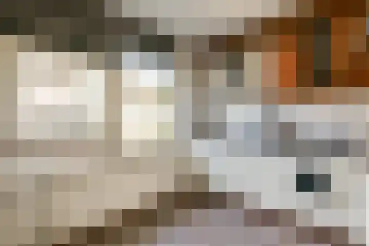 Beemdgras 24 Wilnis thumbnail 9