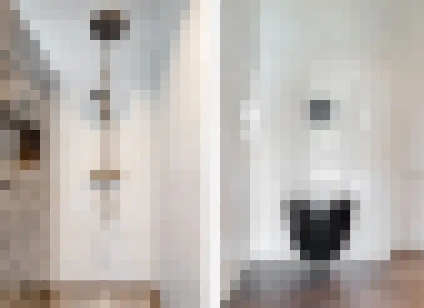Beemdgras 27 Assendelft thumbnail 26