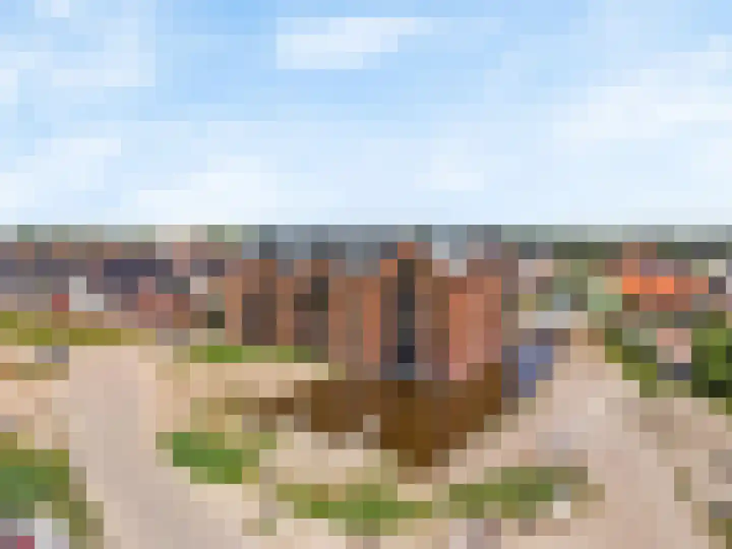 Beemdgras 27 Assendelft thumbnail 37