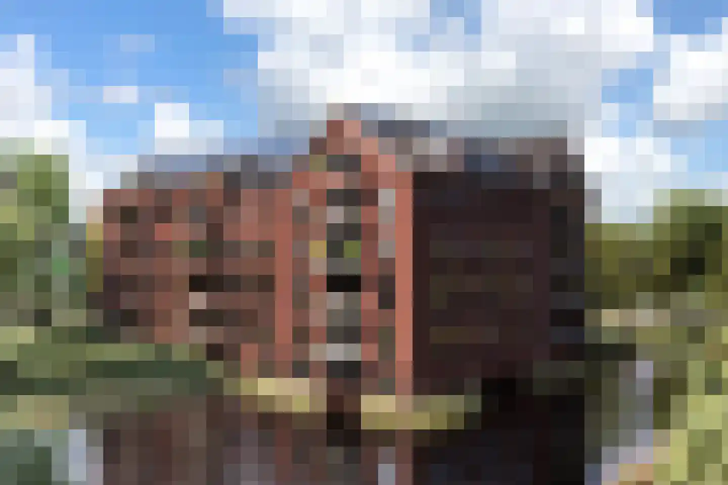 Beemdgras 27 Assendelft thumbnail 41