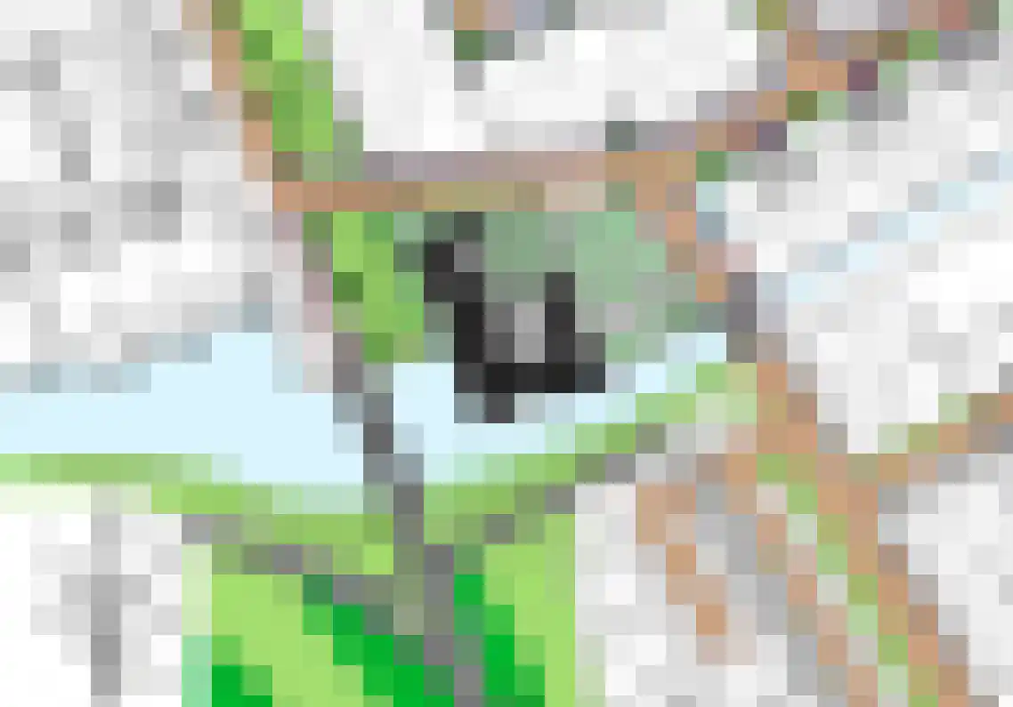 Beemdgras 27 Assendelft thumbnail 43