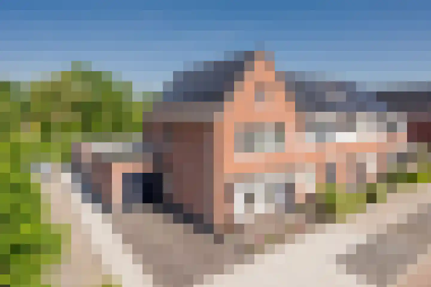Beemdgras 29 Nijkerkerveen thumbnail 38