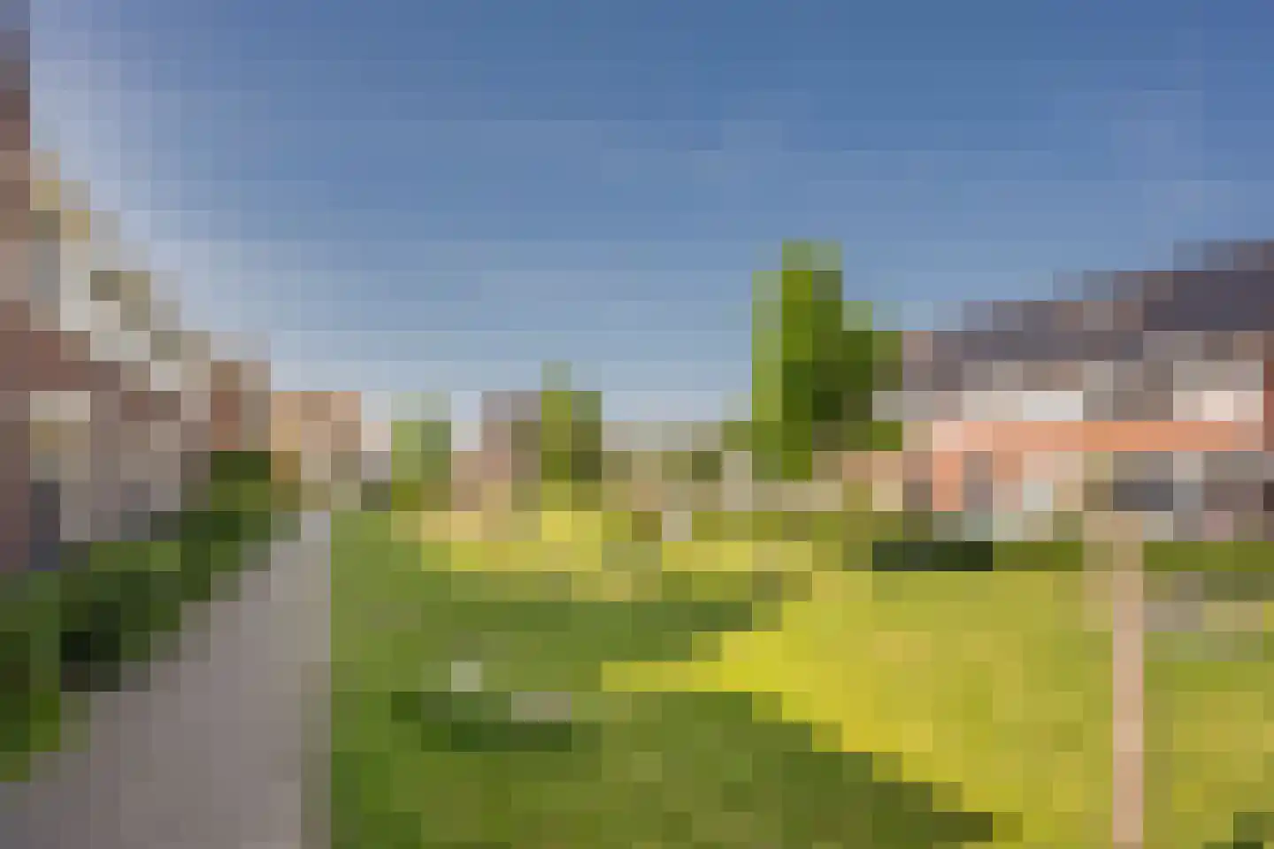 Beemdgras 29 Nijkerkerveen thumbnail 39