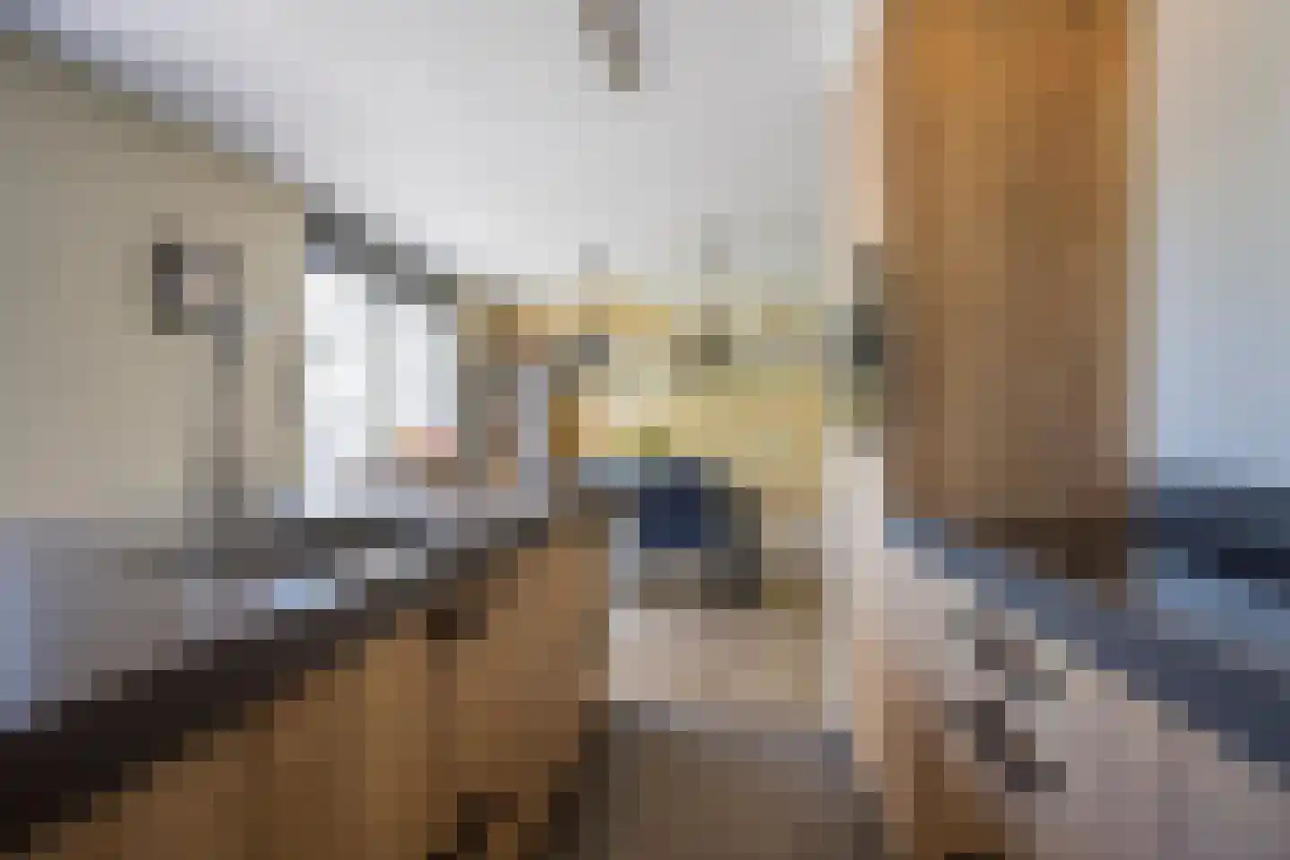 Beemdgras 37 Nijkerkerveen thumbnail 12