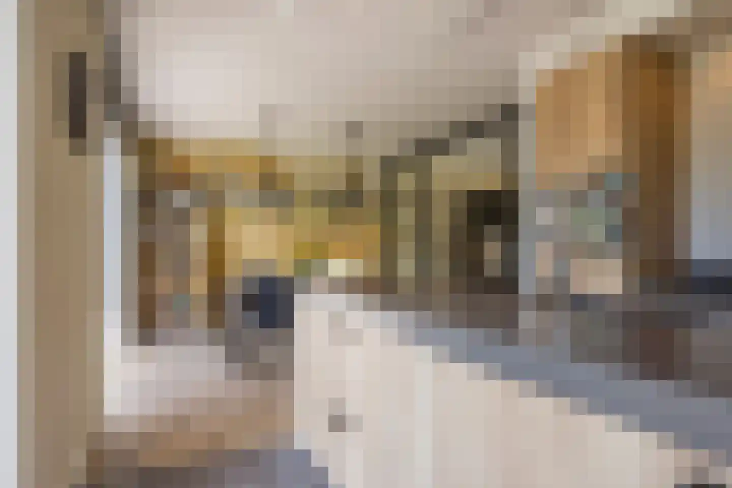 Beemdgras 37 Nijkerkerveen thumbnail 13