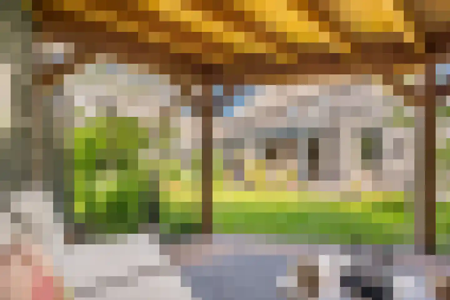 Beemdgras 37 Nijkerkerveen thumbnail 34