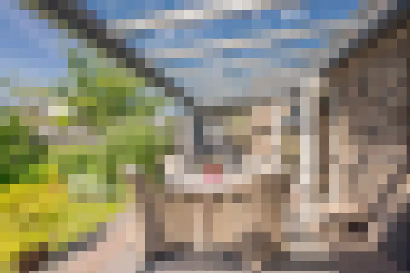 Beemdgras 37 Nijkerkerveen thumbnail 36