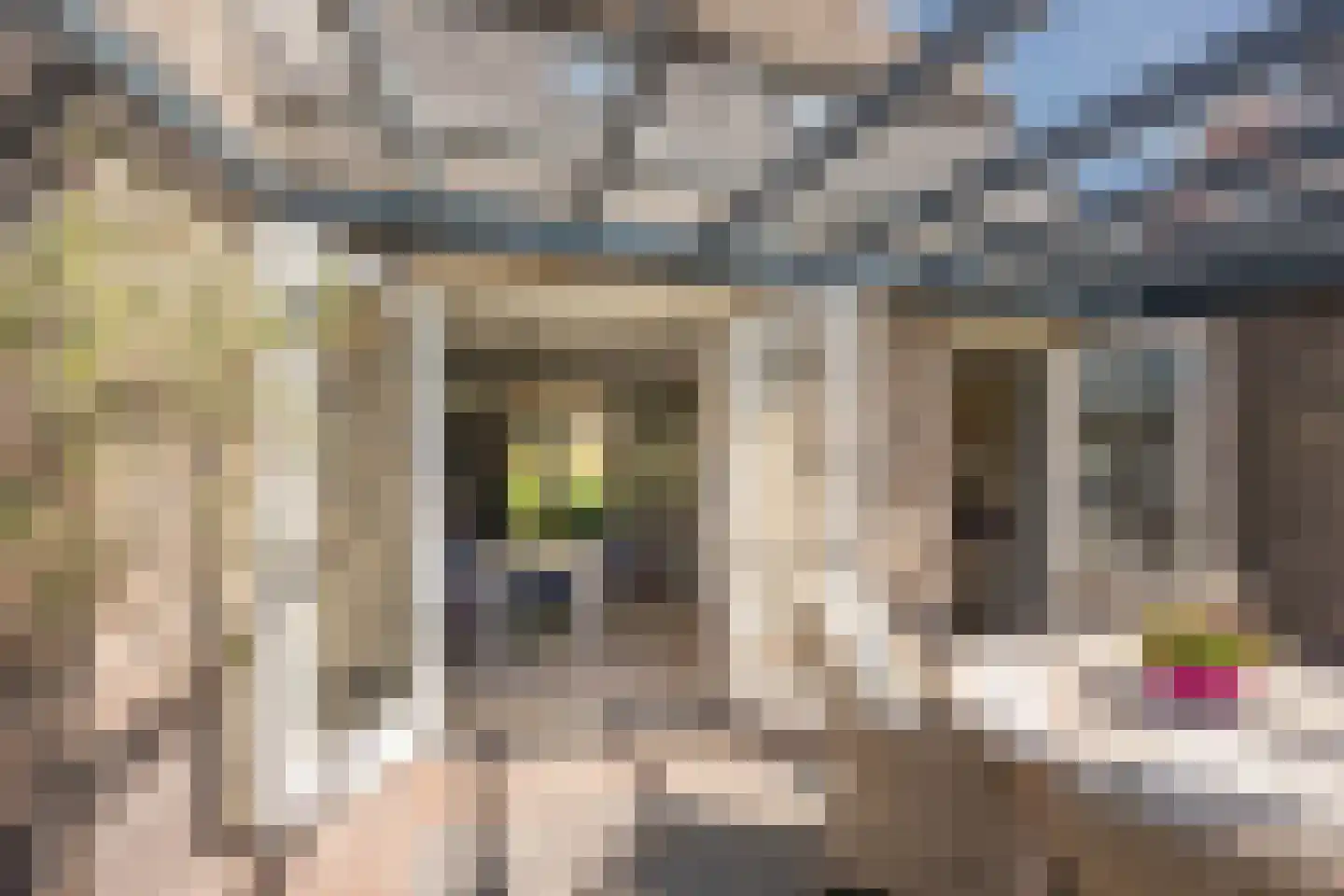 Beemdgras 37 Nijkerkerveen thumbnail 37