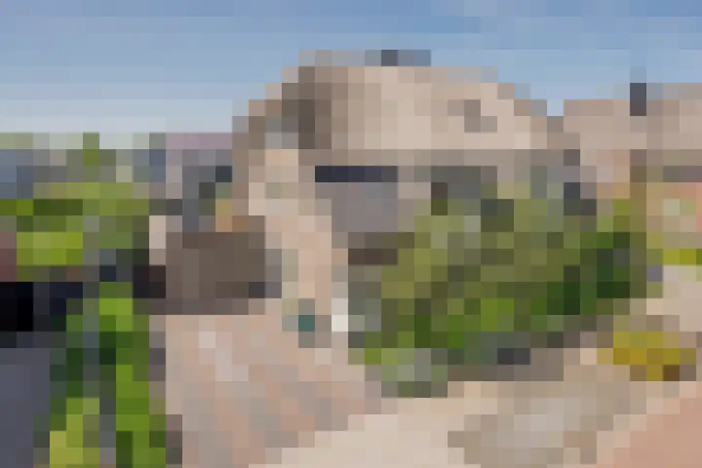 Beemdgras 37 Nijkerkerveen thumbnail 40