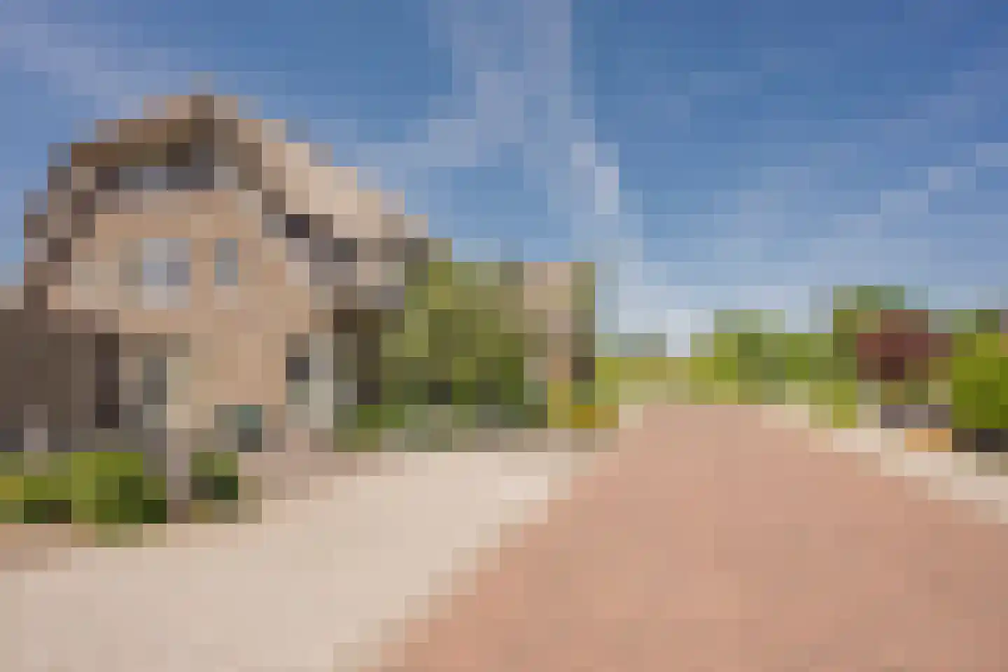 Beemdgras 37 Nijkerkerveen thumbnail 42