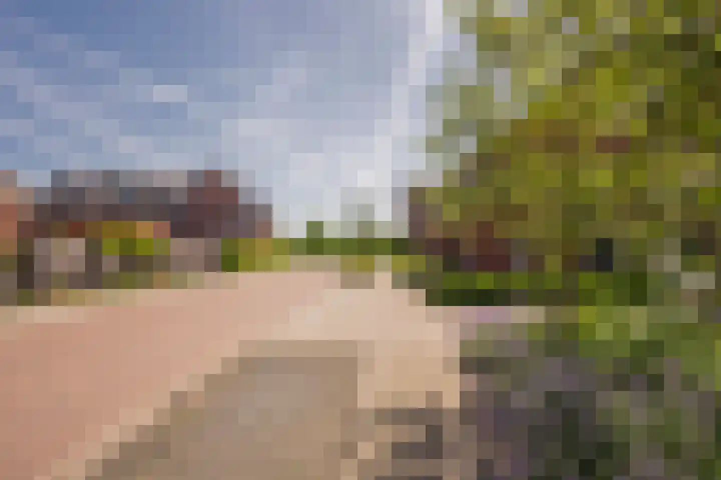 Beemdgras 37 Nijkerkerveen thumbnail 43
