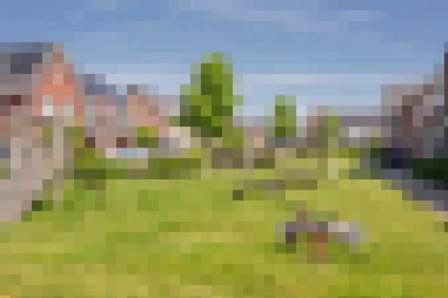 Beemdgras 37 Nijkerkerveen thumbnail 44