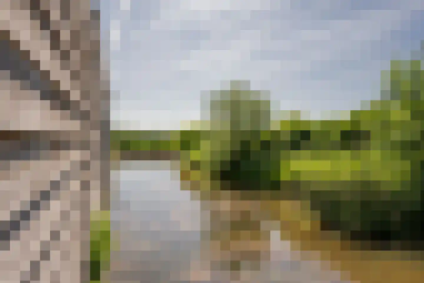 Beemdgras 37 Nijkerkerveen thumbnail 45