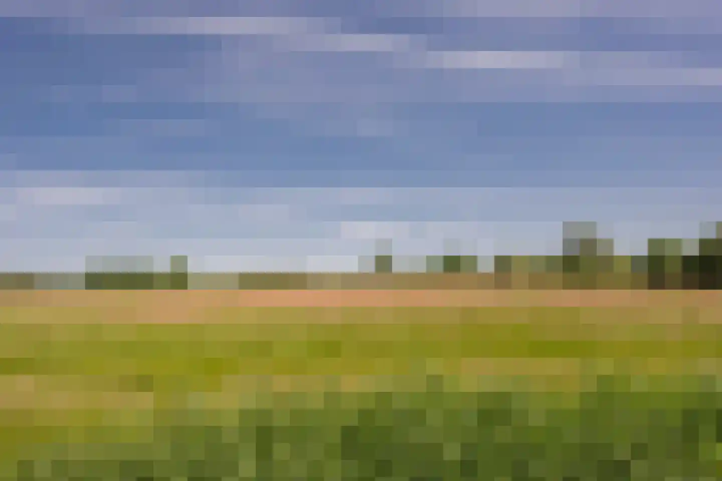 Beemdgras 37 Nijkerkerveen thumbnail 46