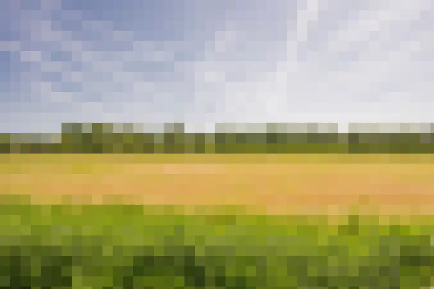 Beemdgras 37 Nijkerkerveen thumbnail 47