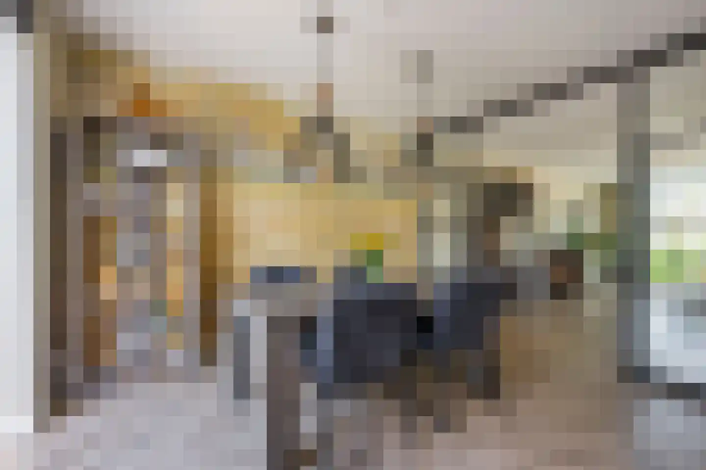 Beemdgras 37 Nijkerkerveen thumbnail 9