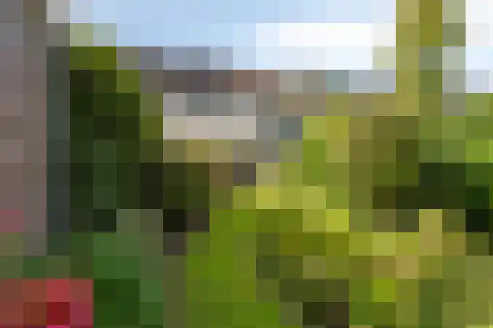Beemdgras 42 Veenendaal thumbnail 20