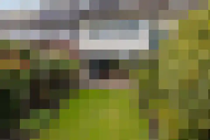 Beemdgras 42 Veenendaal thumbnail 21
