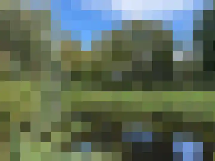 Beemdgras 42 Veenendaal thumbnail 25