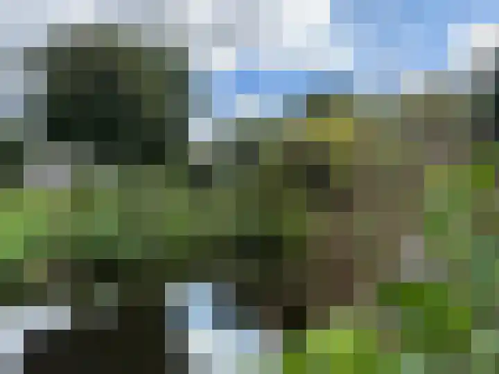 Beemdgras 42 Veenendaal thumbnail 26