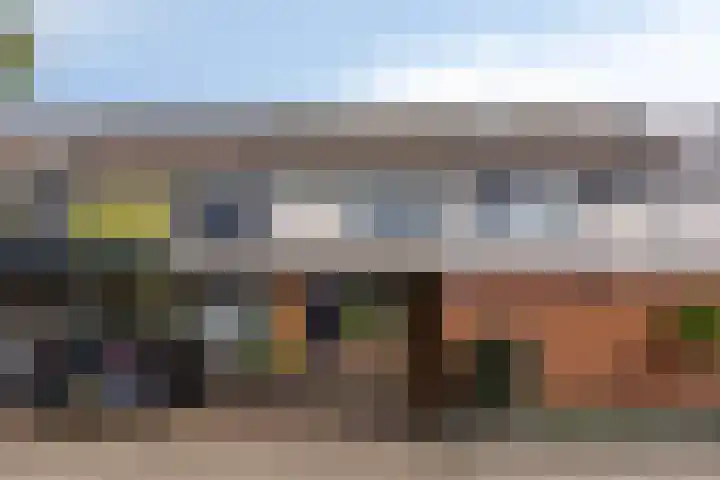 Beemdgras 42 Veenendaal thumbnail 27