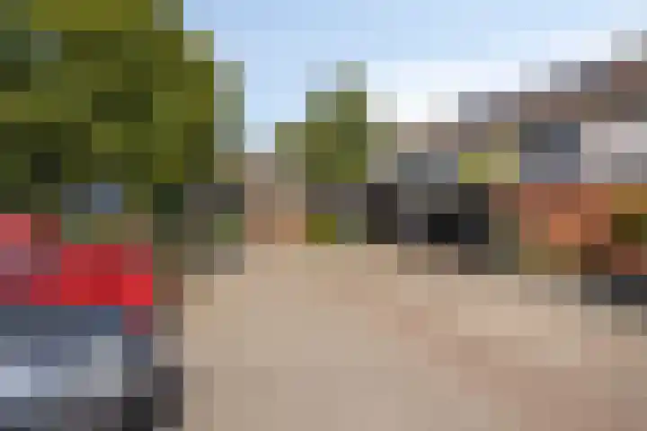 Beemdgras 42 Veenendaal thumbnail 28