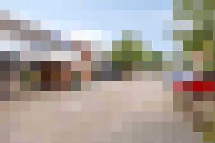 Beemdgras 42 Veenendaal thumbnail 29
