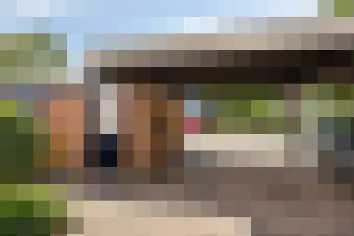 Beemdgras 42 Veenendaal thumbnail 30