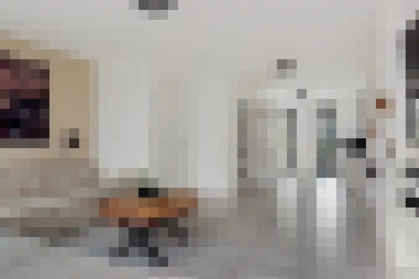 Beemdgras 48 Assendelft thumbnail 11