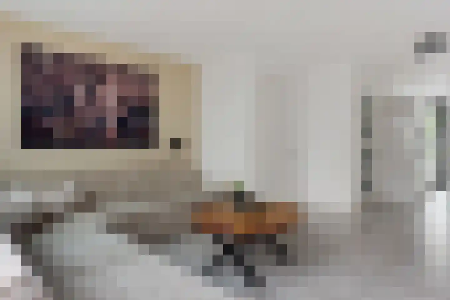 Beemdgras 48 Assendelft thumbnail 12