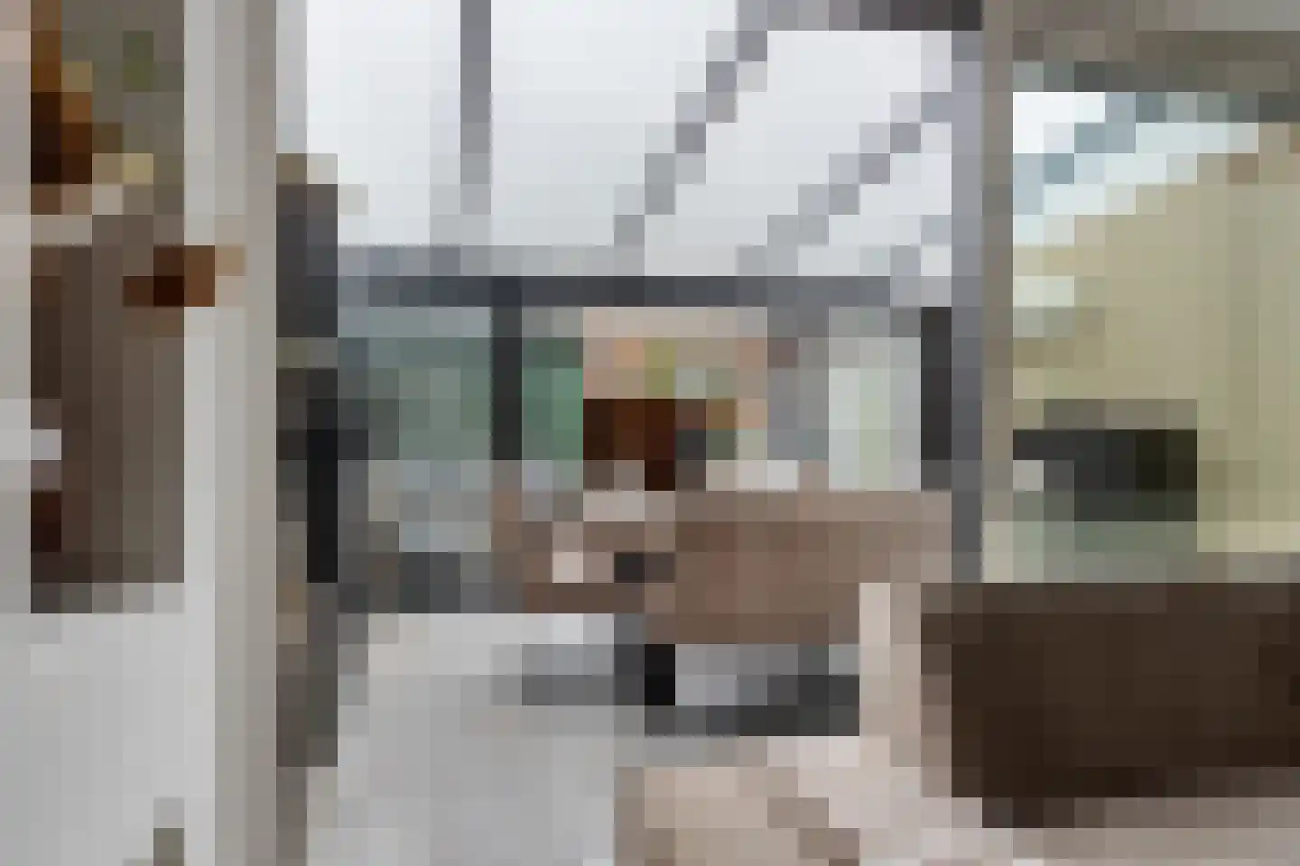 Beemdgras 48 Assendelft thumbnail 19