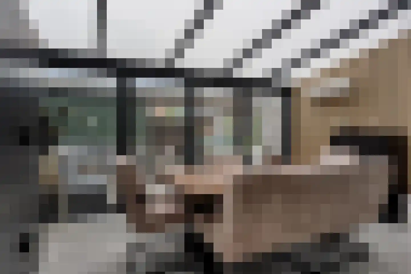 Beemdgras 48 Assendelft thumbnail 20