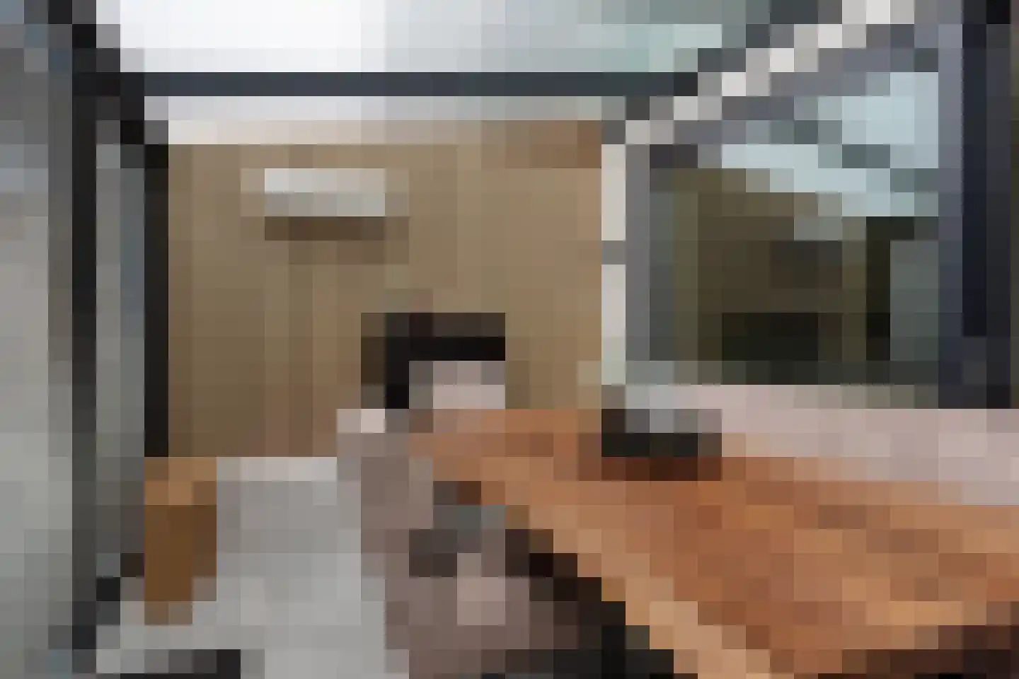 Beemdgras 48 Assendelft thumbnail 21