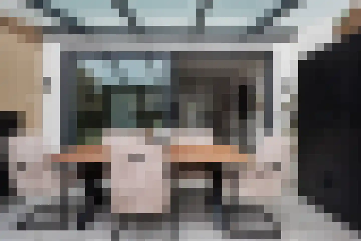 Beemdgras 48 Assendelft thumbnail 23