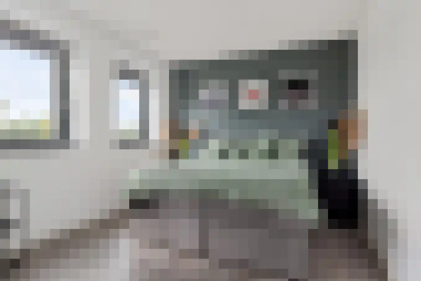 Beemdgras 48 Assendelft thumbnail 26