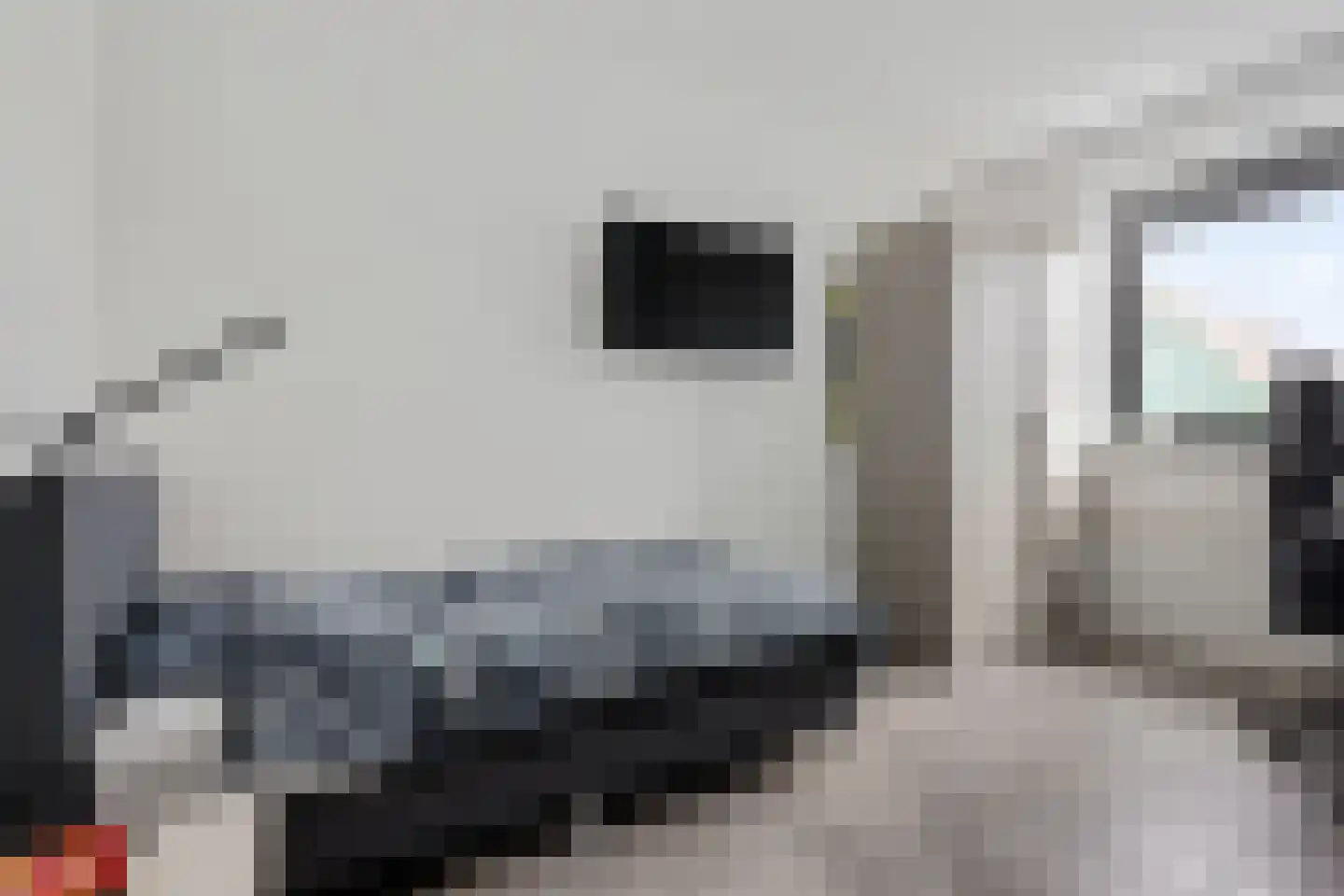 Beemdgras 48 Assendelft thumbnail 28