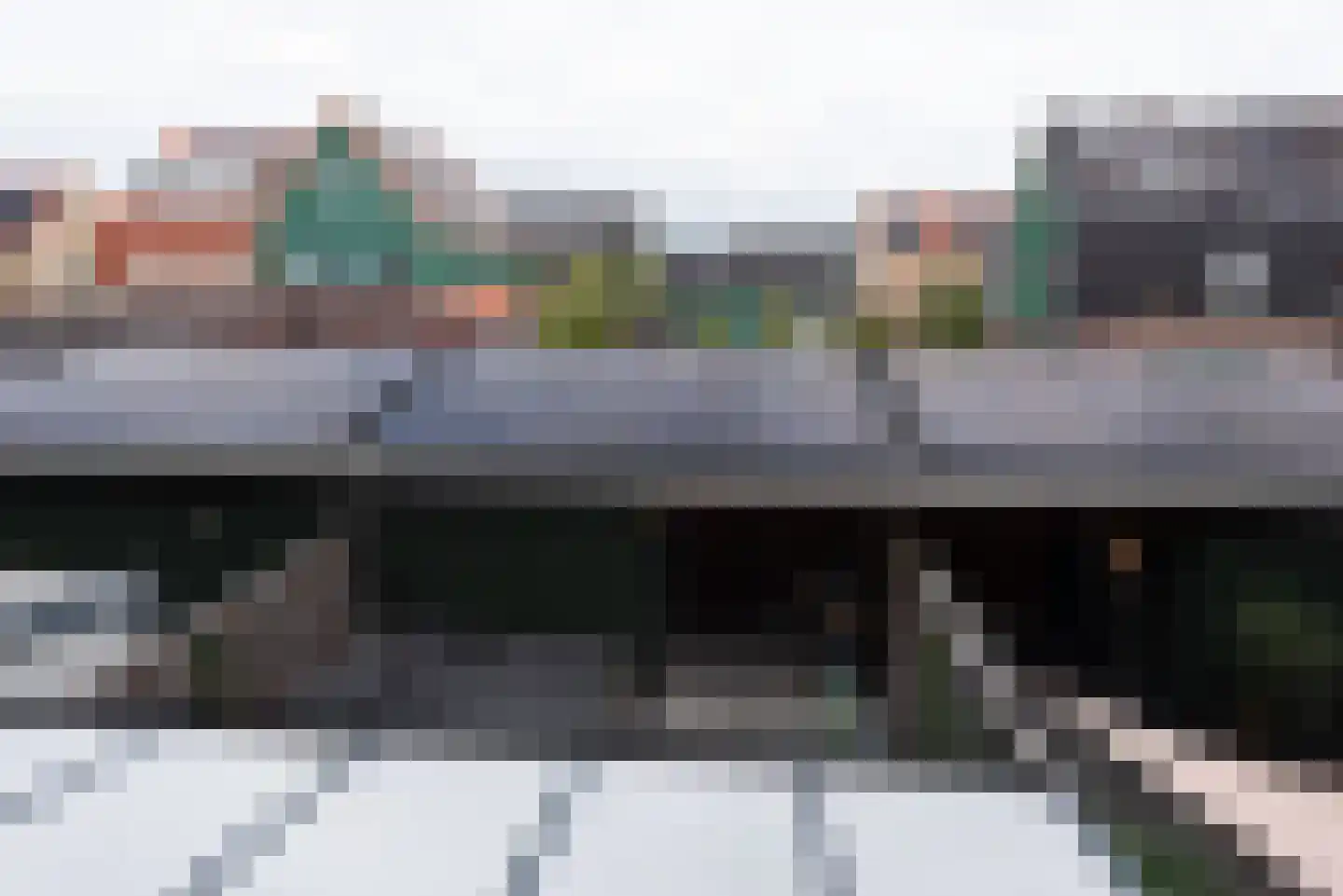Beemdgras 48 Assendelft thumbnail 30