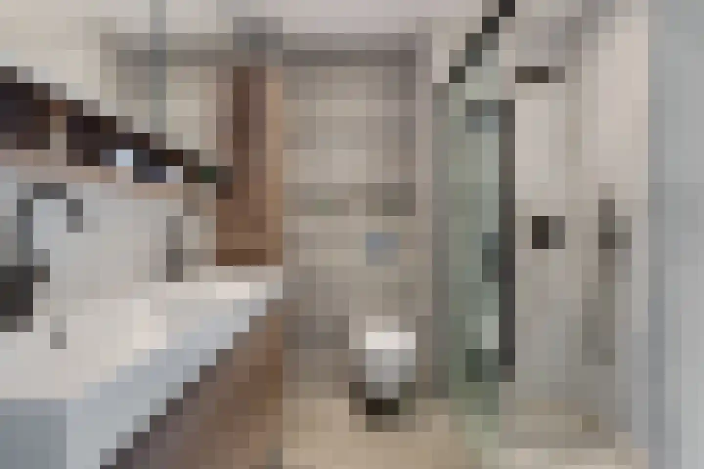 Beemdgras 48 Assendelft thumbnail 31
